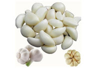 Off White Garlic Allicin Powder Extract 50% For Animal Alternative Antibiotics