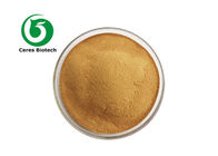 5/1 Kola Nut Herbal Extract Powder Food Grade / Health Care