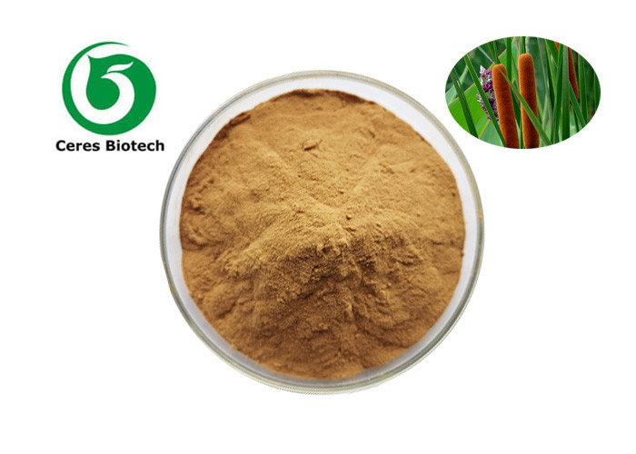 Natural Sideritis Angustifolia Flower Extract Powder For Medical Health Care Products