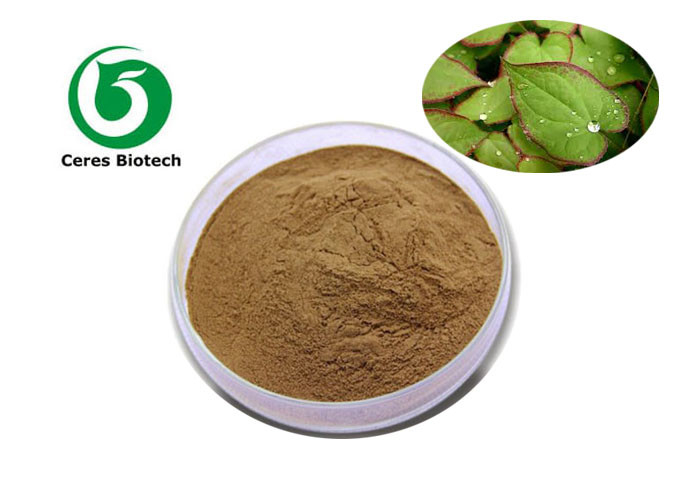 Application of Horny Goat Weed Epimedium Extract Food Health Products Pharmaceuticals