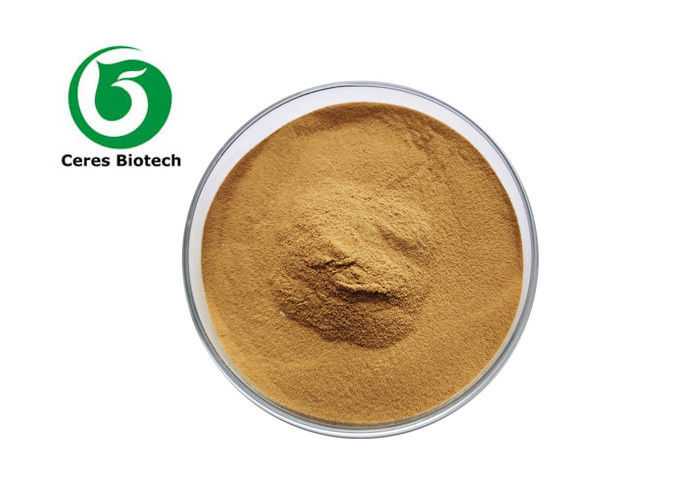 Natural Agrocybe Aegerila Herbal Extract Powder Agrocybe Chaxingu Extract