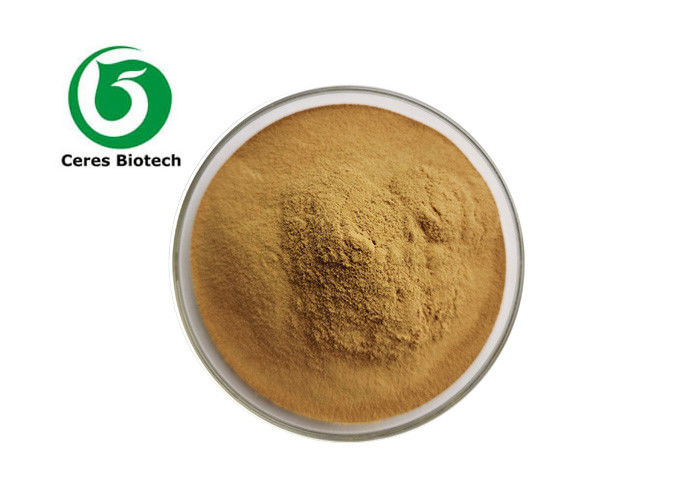 5/1 10/1 Natural Eyebright Extract Powder Health Protect