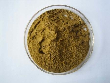 100% Natural Ginkgo Biloba Leaf Extract Powder for Improved Blood Flow and Cognitive Function