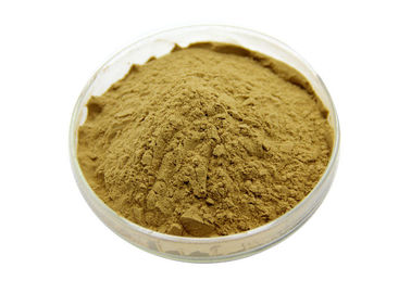 Horny Goat Weed Icariin Herbal Extract 30% For Sexual Enhancement Brown Powder