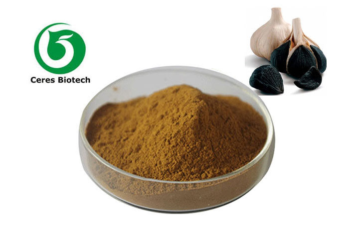 Black Garlic Extract Powder 10/1 For Health Care Food Grade Regulate Blood Sugar