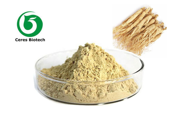 Polvere calda dell'estratto del ginseng di vendita con i ginsenosidi di 5% 20% 80%