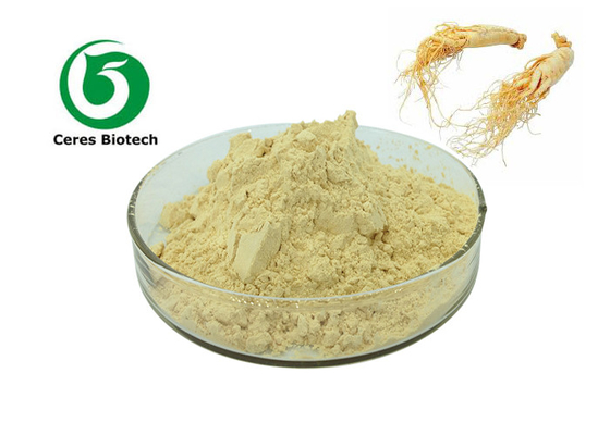 Il panax ginseng puro della radice di Ginsing del commestibile spolverizza la polvere dell'estratto del ginseng