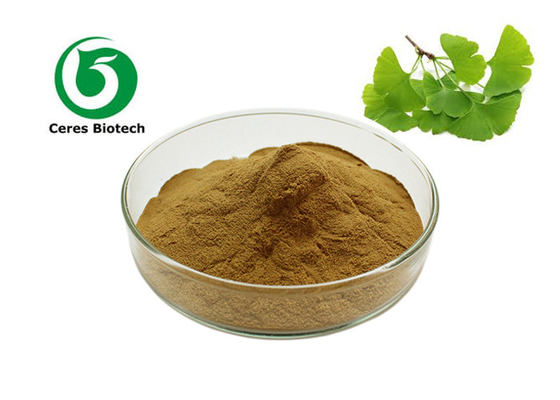 Polvere organica naturale in serie dell'estratto della foglia del ginkgo biloba del rifornimento