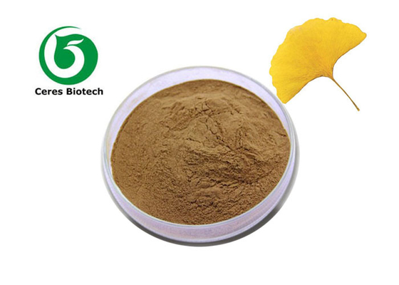 Flavoni Ingrediente attivo Top 100% Ginkgo Biloba Extract in polvere naturale