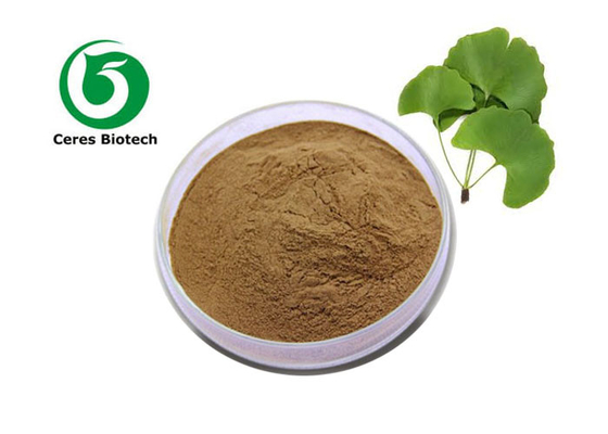 Extracto di foglie di Ginkgo Biloba in polvere con 5ppm di acido ginkgolico.
