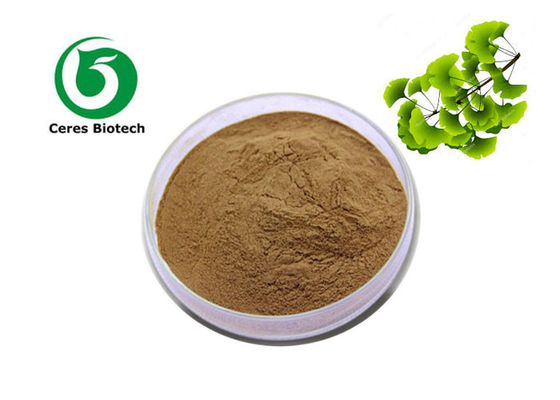 Il ginkgo biloba della polvere dell'estratto della foglia del ginkgo della fabbrica del rifornimento estrae la polvere dell'estratto di biloba 6% 24%