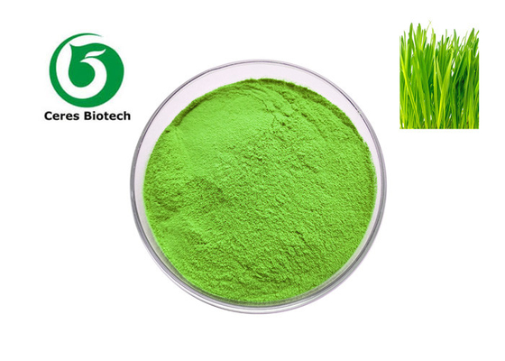 Polvere di erbe pura 100% organica di verdure dell'erba di orzo per perdita di peso