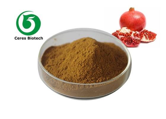Polvere naturale di frutti di melograno per una bevanda sana e gustosa