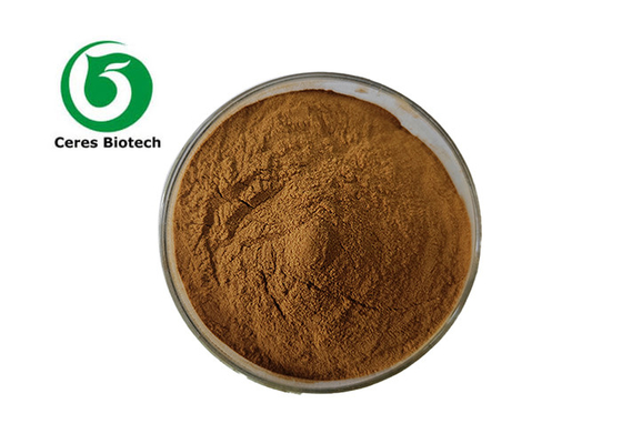 Svela i Benefici per la Salute dell'Estratto di Acero Zucchero da Astragalus Membranaceus di Botanic Source