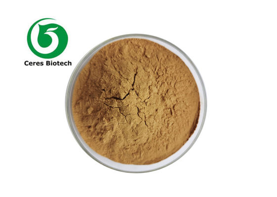 Integratore alimentare estratto di acero zuccherino con granulometria 100% attraverso rete 80 mesh